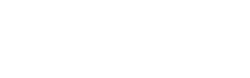 Logo Pfister Weegtechniek.